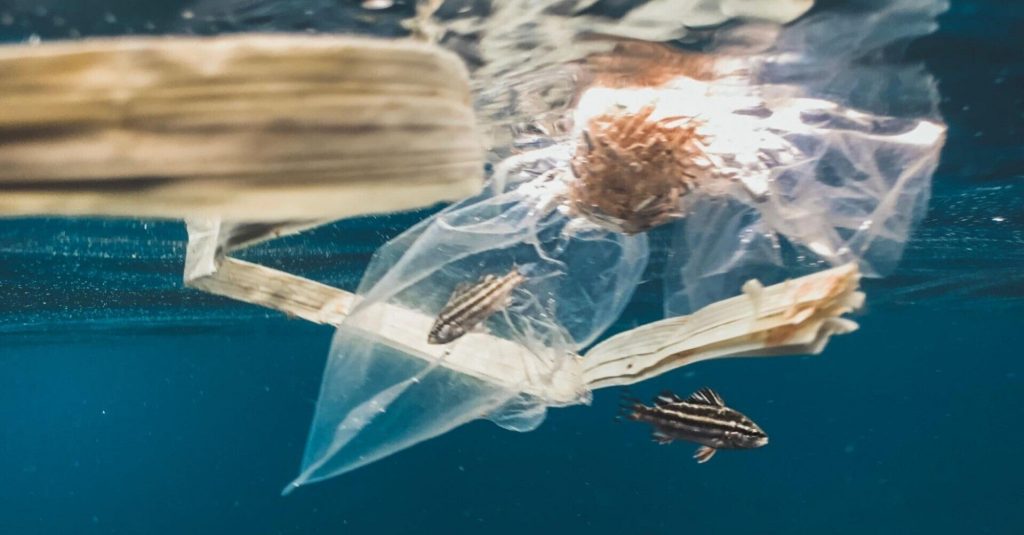 アーモンドがプラスチックの替わりに？進歩するマイクロプラスチックフリーなコスメ事情【Steenz Breaking News】
