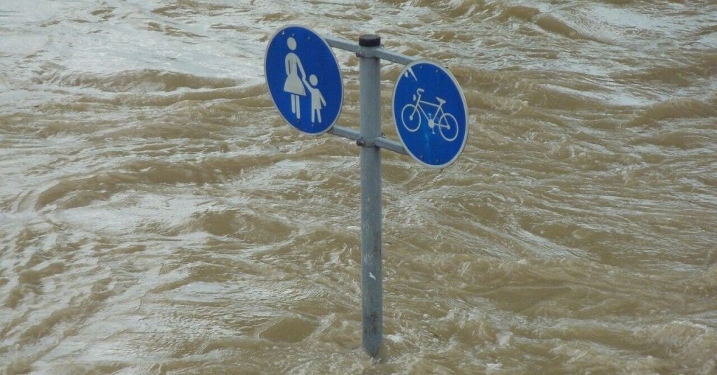 GoogleのAIが洪水や山火事まで予測！すでに2300万人の命を救う【Steenz Breaking News】