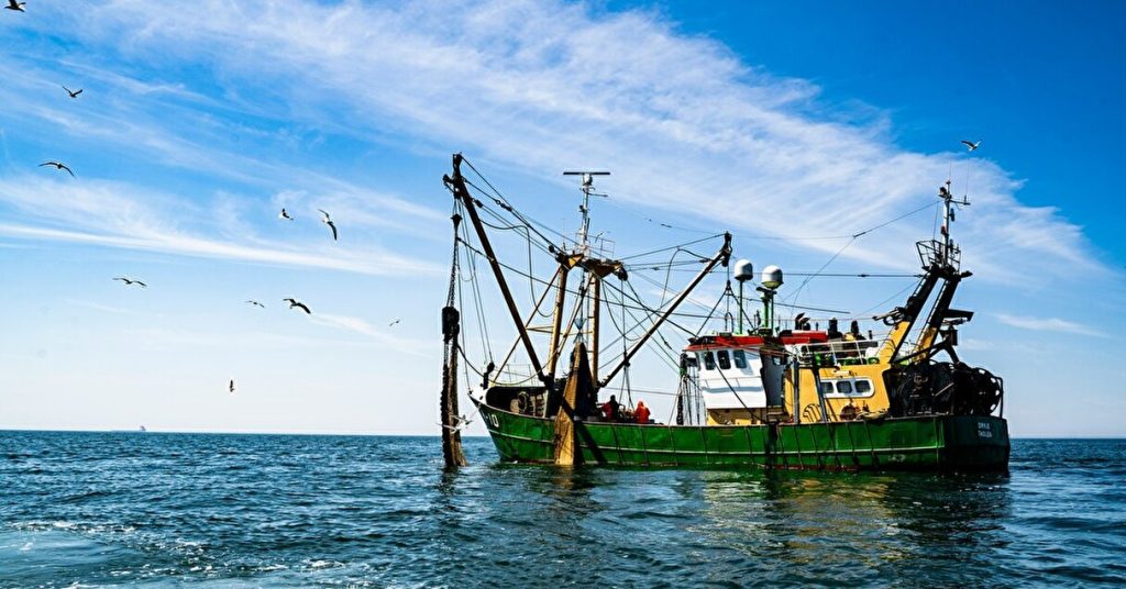 持続可能な漁業をめざして。岡山県発の水産資源を必要な量だけ獲る「完全受注漁」【Steenz Breaking News】