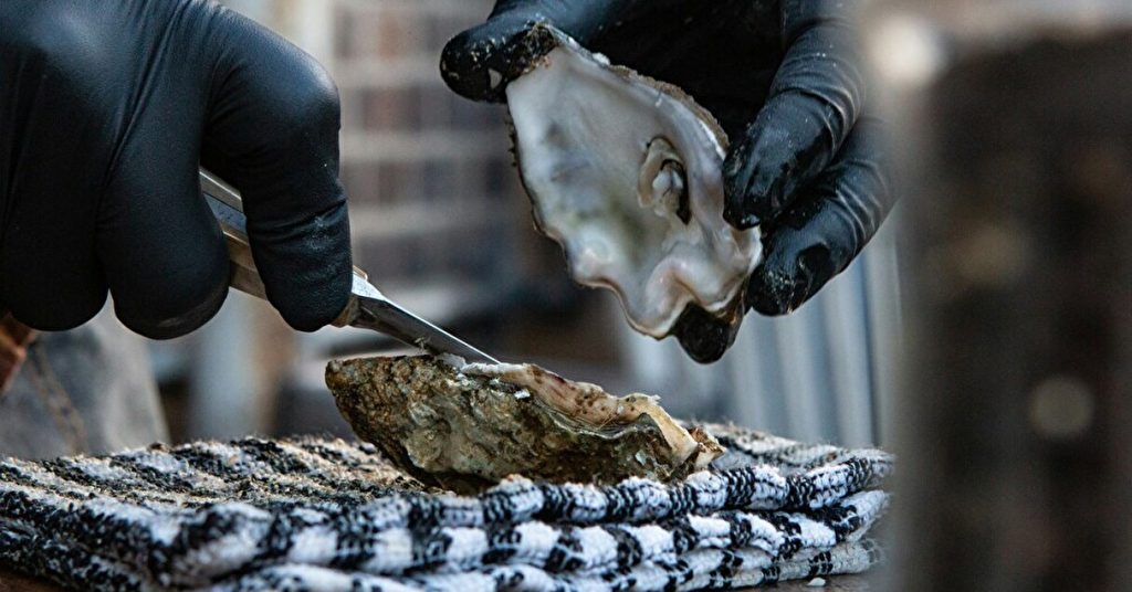 捨てられるはずの牡蠣殻がアップサイクルで蘇る！除菌剤からスーツの素材まで、その用途はさまざま【Steenz Breaking News】