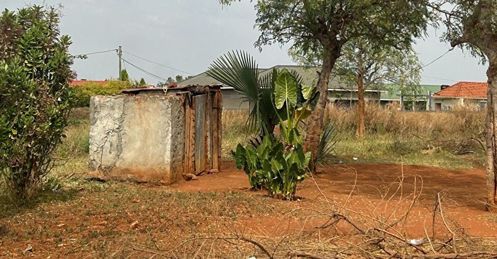 キレイなトイレは命を救う！アフリカの衛生環境を守る企業とNGOを紹介【Steenz Breaking News】
