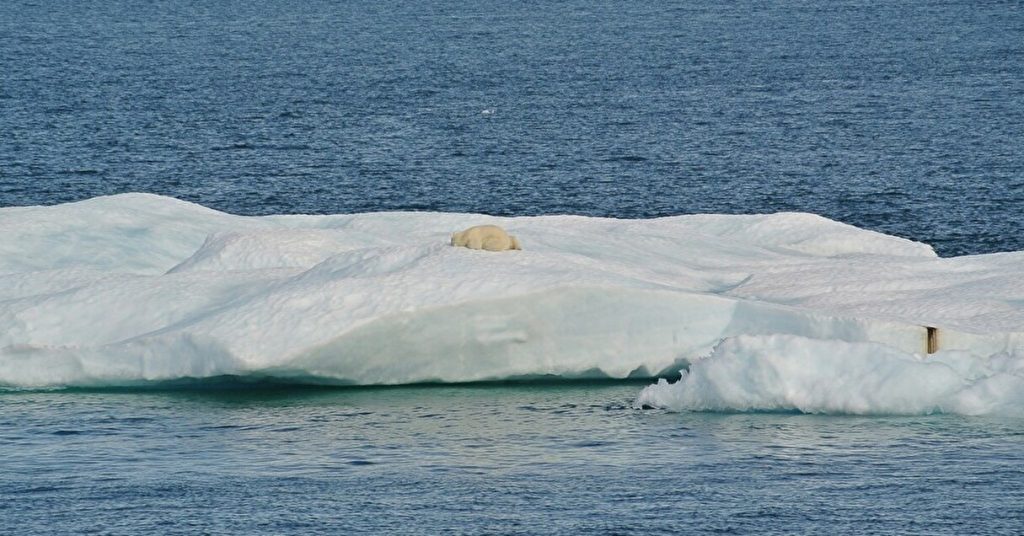 南極西部の「終末の氷河」がいよいよ危ない？海面上昇が及ぼす恐ろしい被害【Steenz Breaking News】