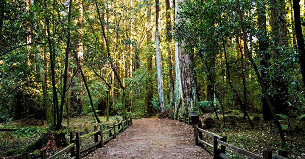 色覚異常の方も大自然を体感できるように。バージニア州立公園に設置された特殊な景観ビュアー【Steenz Breaking News】