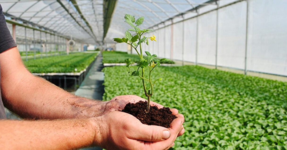 検索で世界に木を植えられる、検索エンジン「Ecosia」とは?【Steenz Breaking News】