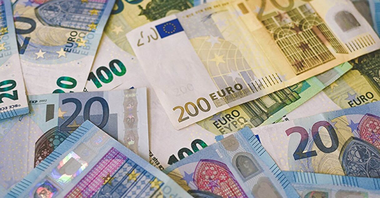 新ユーロ紙幣のデザイン公募を実施。リトアニアの希少な“あの鳥”の案が話題に【Steenz Breaking News】