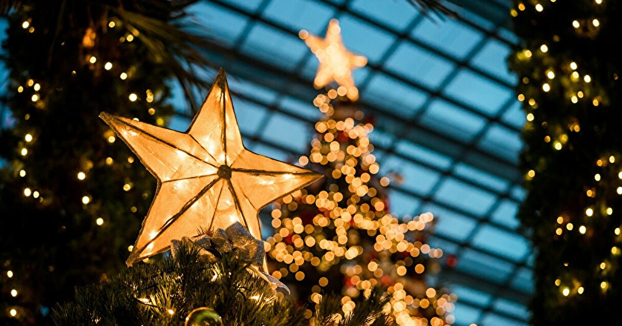 海洋ごみや竹を再活用。ホリデーシーズンを彩るユニークなクリスマスツリー【Steenz Breaking News】