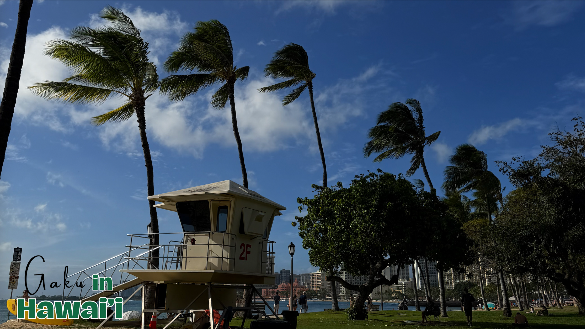 日本のものが多過ぎるハワイ事情。Gaku in Hawaii #04【Steenz Abroad】