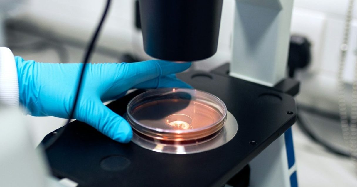 対象は地球上でもっとも小さな生き物たち。IUCNが新たに発足した生物保全グループとは？【Steenz Breaking News】