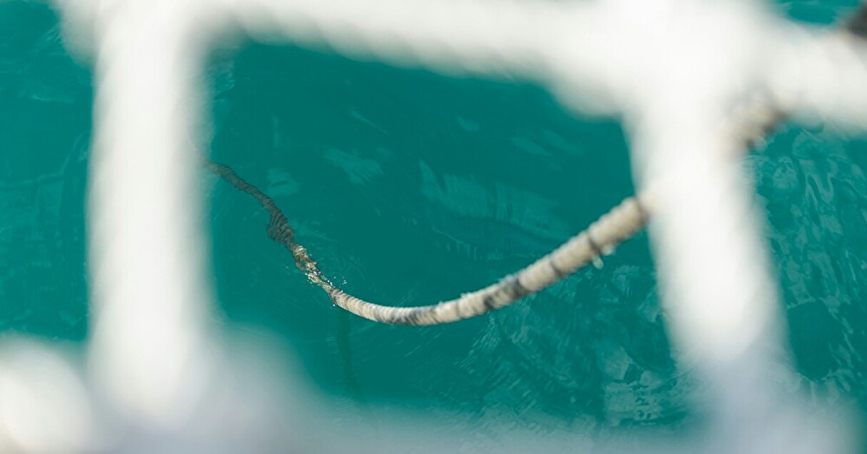 海の日に考えたい環境のこと。海洋に漂う「ゴーストギア」って?日本での対策に注目【Steenz Breaking News】