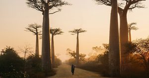 電力不足の解消だけじゃない！マダガスカルで女性の太陽光発電技術者が活躍する背景【Steenz Breaking News】