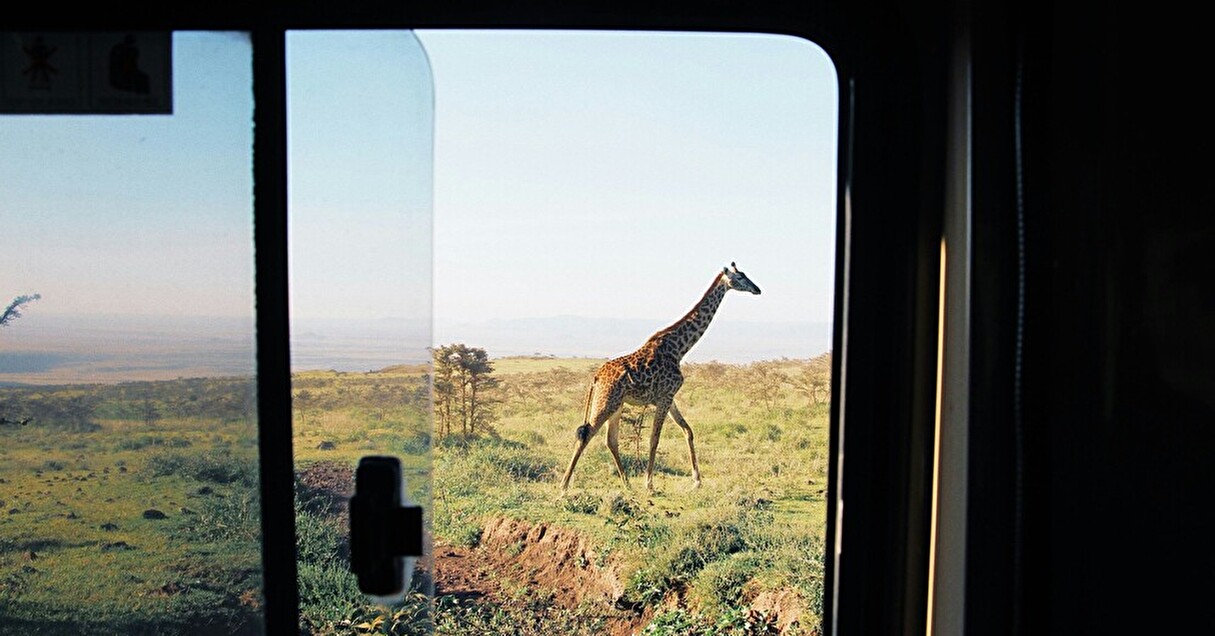 アフリカの観光地が抱える課題って?環境と動物にやさしく、地元に還元できる旅行をするために【Steenz Breaking News】
