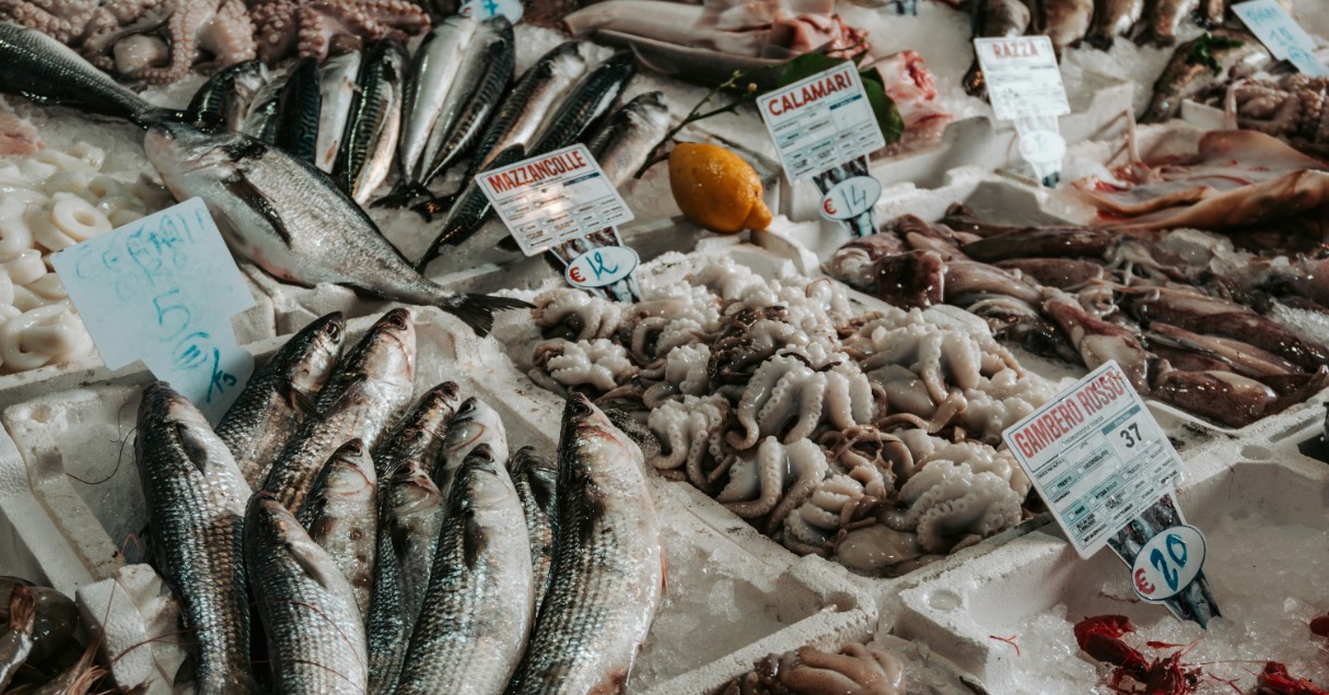 もったいない魚をおいしく食べて救う!広がる未利用魚の活用事例をチェック【Steenz Breaking News】